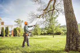 Best Root Management and Removal  in Morrow, OH