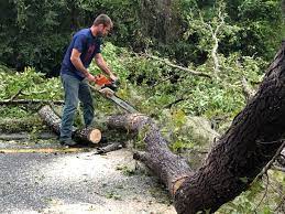 Best Lot and Land Clearing  in Morrow, OH
